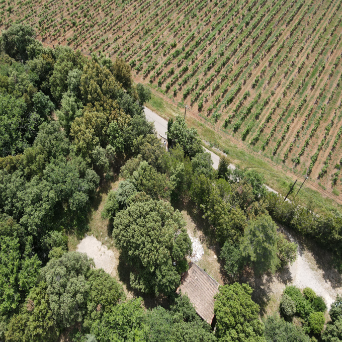 Offres de vente Terrain Saint-Maximin-la-Sainte-Baume (83470)