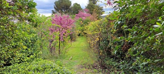 Offres de vente Maison Bouc-Bel-Air (13320)