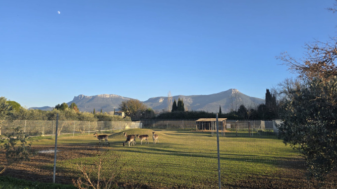 Offres de vente Terrain Trets (13530)